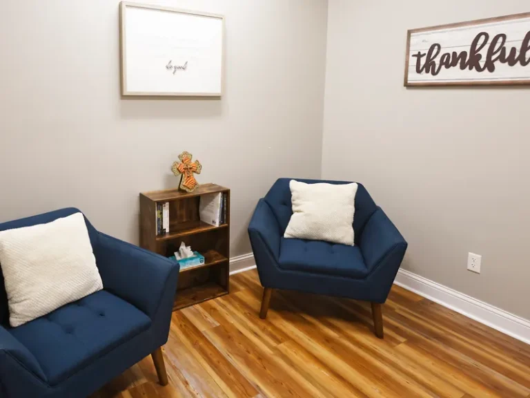 Two blue chairs with white pillows face each other in a cozy room with wooden flooring and wall decor.